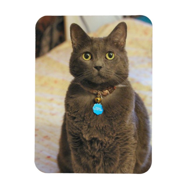 Imán Mims (Vertical)