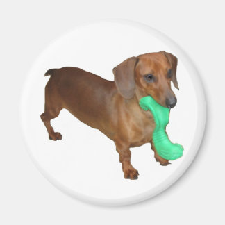 Imán Minature Dachshund