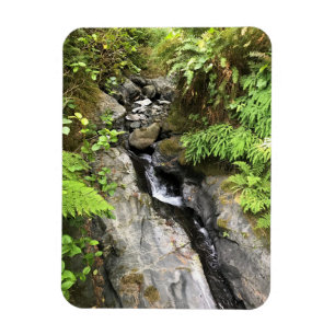 Imán Miner Creek, Samuel H. Boardman, OR