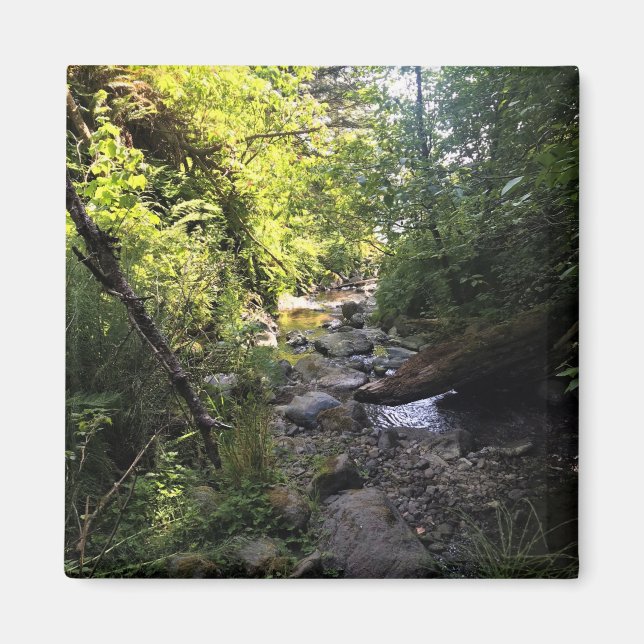 Imán Miner Creek, Samuel H. Boardman, OR (Frente)