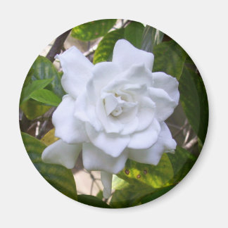 Imán Mini Art Gardenia