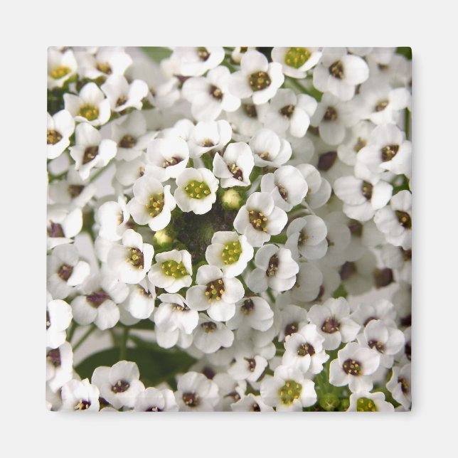 Imán Mini Flores blancas (Frente)