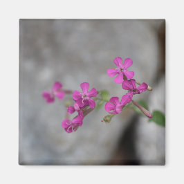Imán Mini flores rosadas con piedras