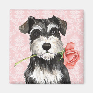 Imán Mini Schnauzer subió tarjeta del día de San