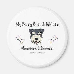 Imán MiniatureSchnauzer