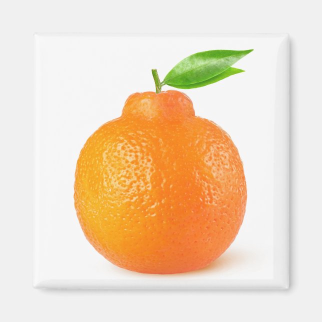 Imán Minneola tangelo citrus (Frente)