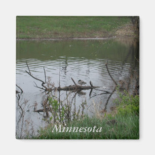 Imán Minnesota