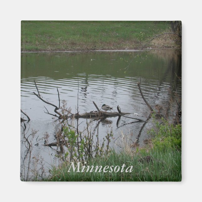 Imán Minnesota (Frente)