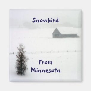 Imán Minnesota Snowbird Magnet