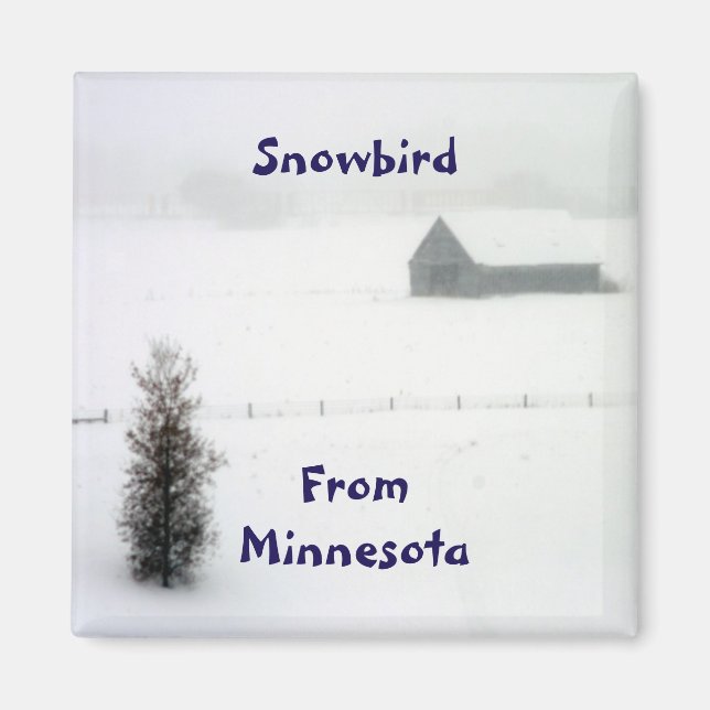 Imán Minnesota Snowbird Magnet (Frente)