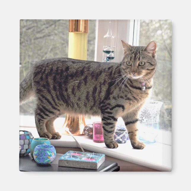 Imán Minnie (Frente)