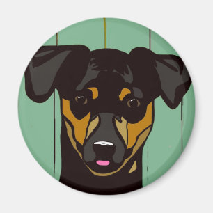 Imán MinPin - Pincher miniatura