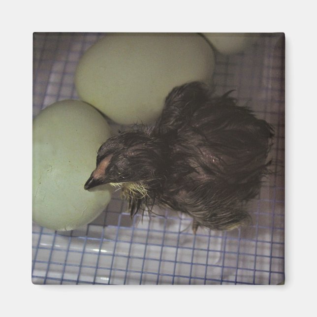 Imán Minutos viejos (Frente)