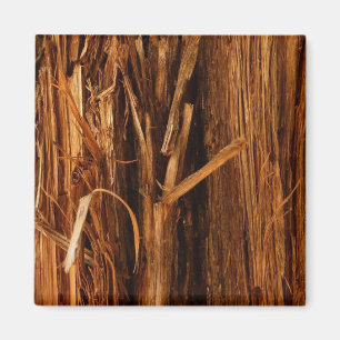 Imán Mira de corteza de madera texturizada de cedro