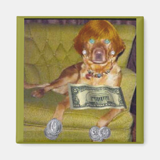 IMÁN MIRA LO QUE HAGO POR MONEY MAGNET