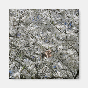 Imán Mirabelle Blossom Fridge Magnet