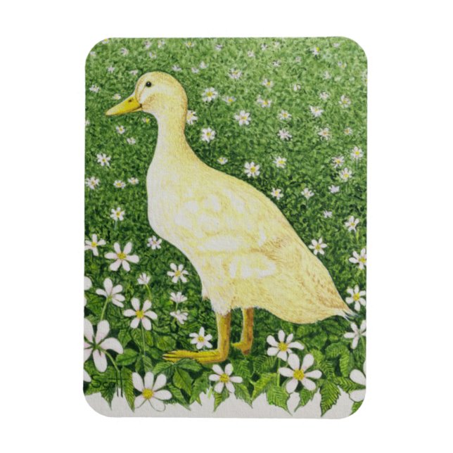 Imán Mirando (Vertical)