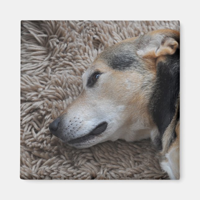 Imán Mirando cada movimiento (Frente)