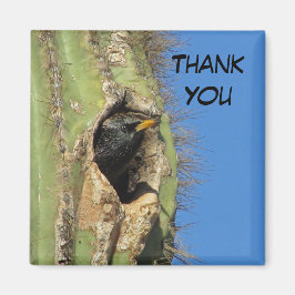 Imán Mirando en Saguaro Cactus. Foto de pájaro suroeste