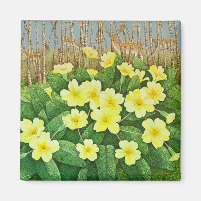 Imán Mirando esperanzador 2011 (Frente)