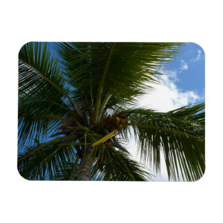 Imán Mirando hacia la naturaleza tropical de las palmer