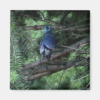 Imán mis cosas3 013