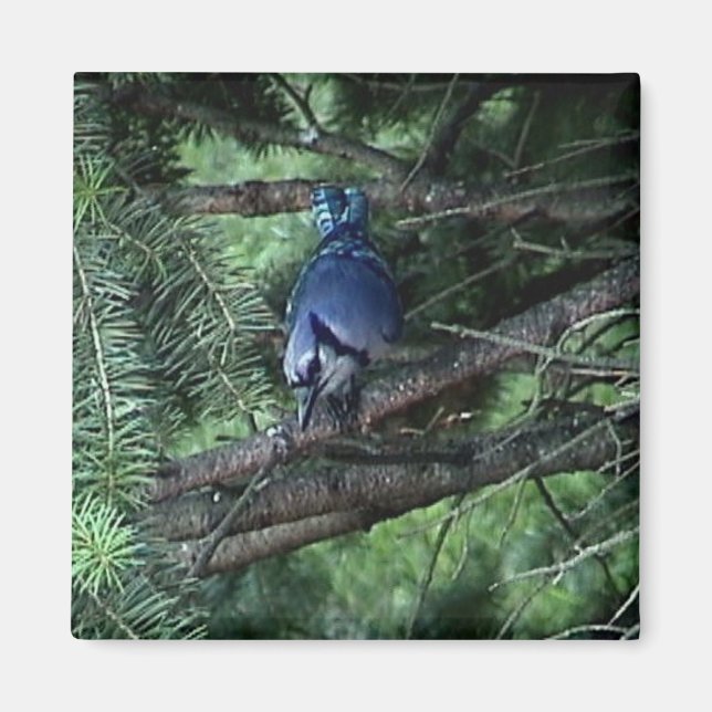 Imán mis cosas3 013 (Frente)