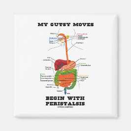 Imán Mis Movimientos De Gambas Comenzan Con Peristalsis