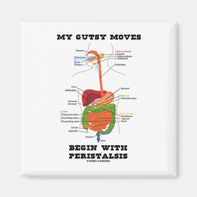 Imán Mis Movimientos De Gambas Comenzan Con Peristalsis (Frente)
