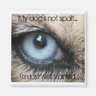 Imán Mis perros no son malcriados, estoy bien entrenado