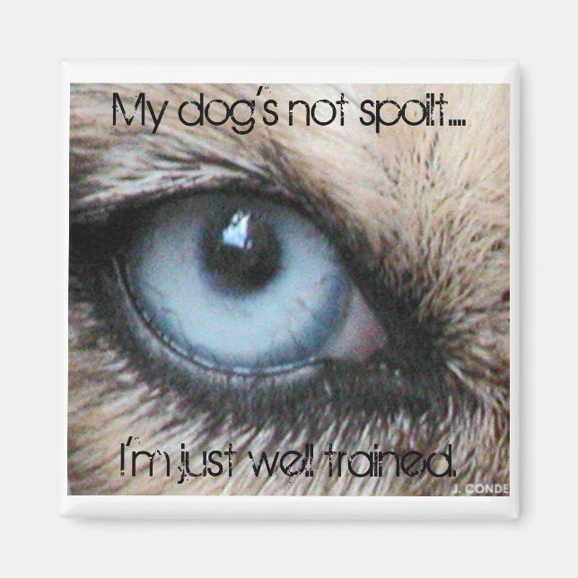 Imán Mis perros no son malcriados, estoy bien entrenado (Frente)
