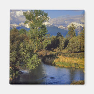 Imán Mission Creek en el Rango Nacional de Bisontes en