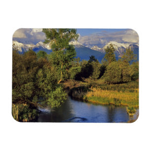 Imán Mission Creek en el Rango Nacional de Bisontes en
