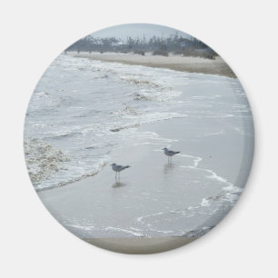 Imán Mississippi Beach Magnet #2