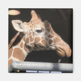 Imán Missy Magnet #1