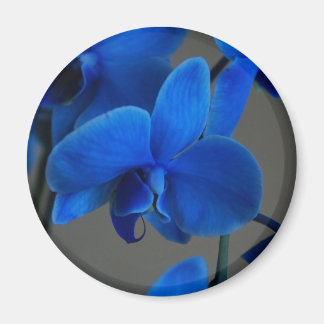Imán Mistique azul