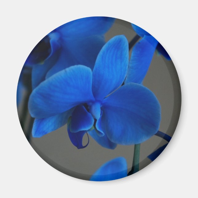 Imán Mistique azul (Frente)
