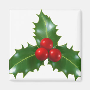 Imán Mistletoe