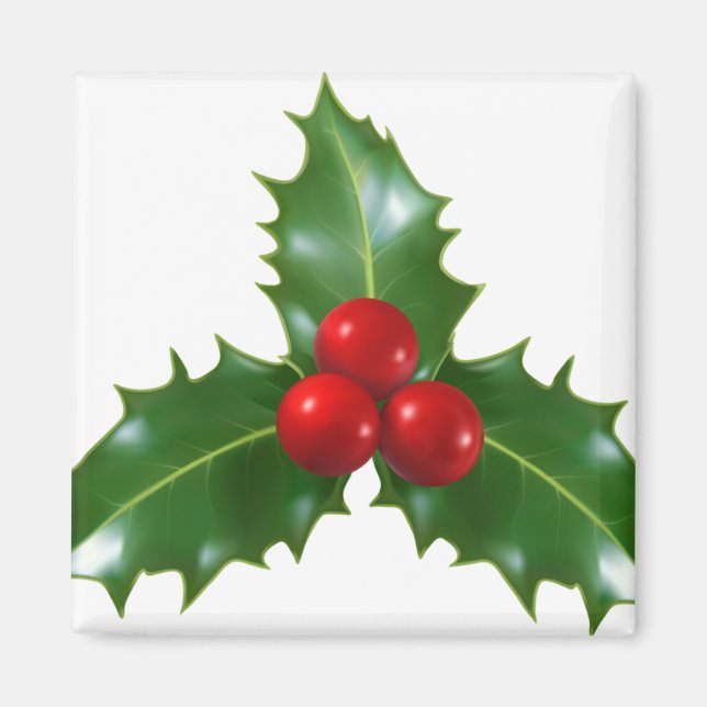 Imán Mistletoe (Frente)