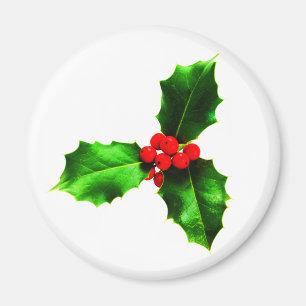 Imán Mistletoe