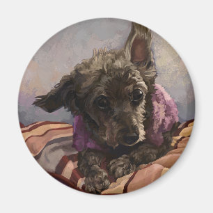 Imán Misty el Caniche