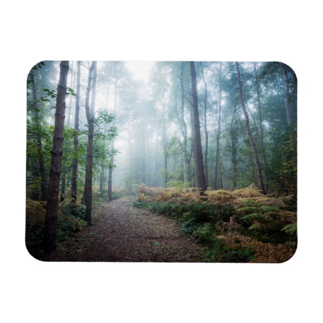 Imán Misty Forest Walk (Horizontal)