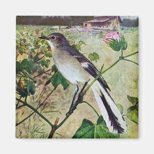 Imán Mockingbird septentrional