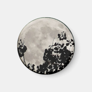 Imán Moda detrás de hojas oscuras