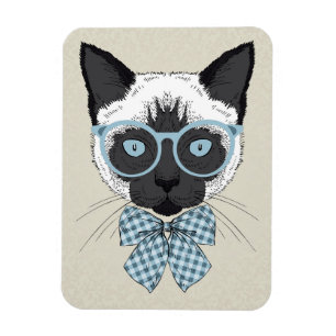 Imán Moda Smart del gato siamés