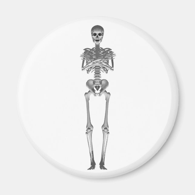Imán Modelo Skeleton 3d: (Frente)