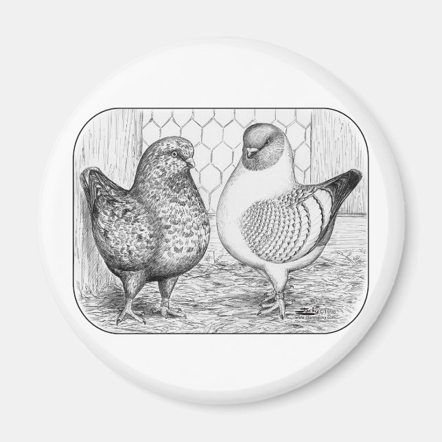 Imán Modenas dos (Frente)