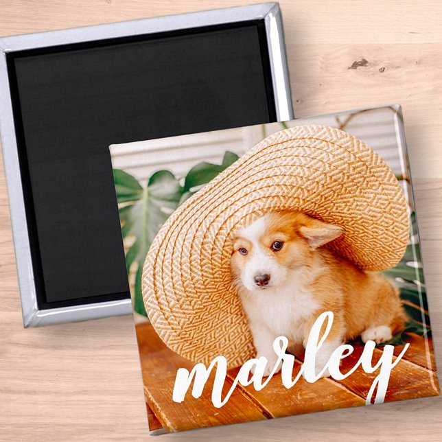 Imán Moderna foto de un Mascota ruso simple Personaliza (Subido por el creador)