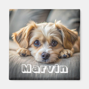 Imán Moderna foto de un Mascota ruso simple Personaliza