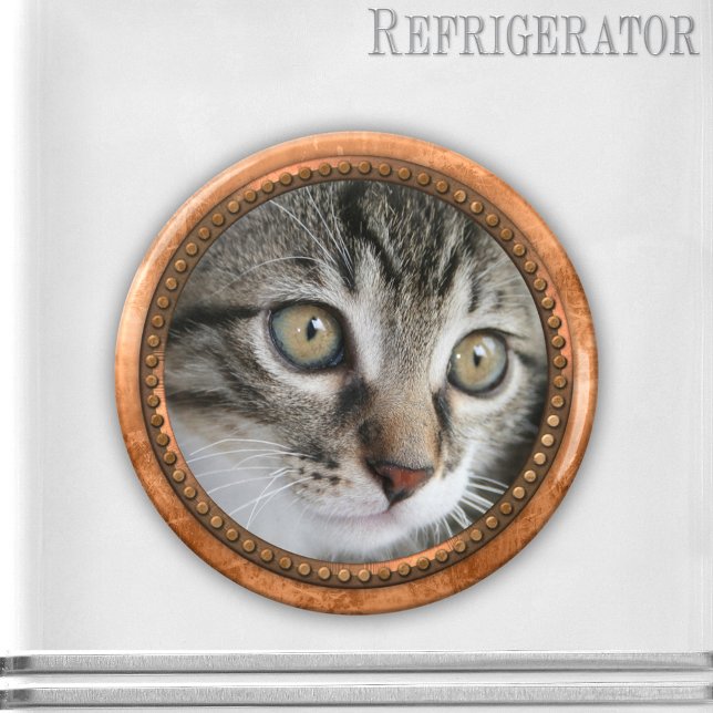 Imán Moderno Rosa Gold Metallic Photo Porthole Magnet (Magnet with a rose gold metallic style frame and your own favorite cat or other photo)